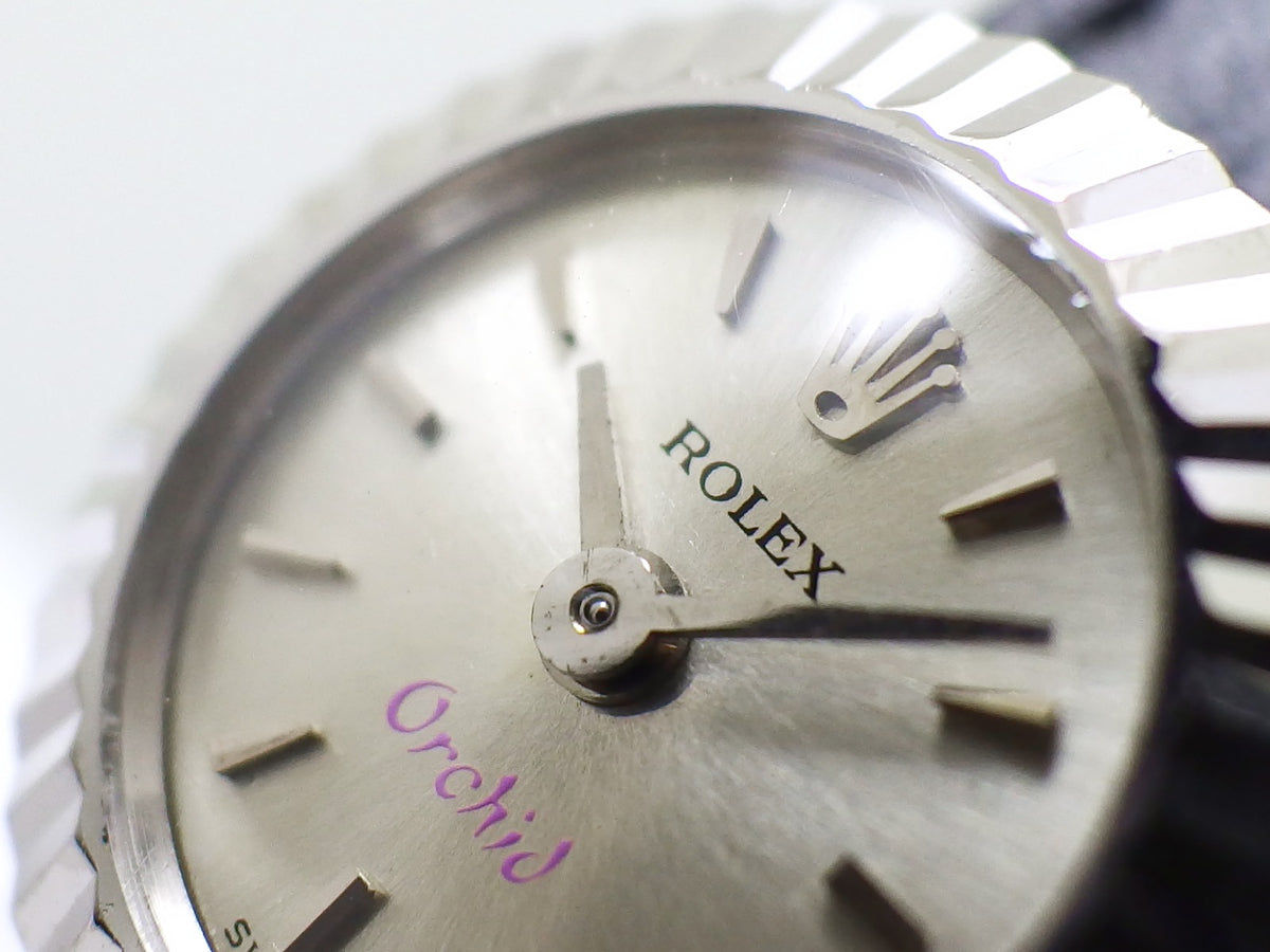 ロレックス オーキッド カメレオン レディース 18金ホワイトゴールド Ref.2059 手巻 OH済 1965年製 Rolex