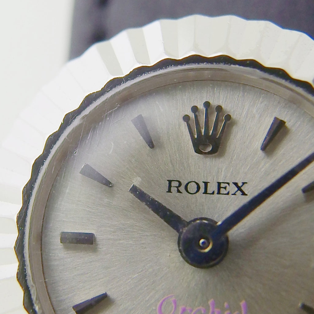 ロレックス オーキッド カメレオン レディース 18金ホワイトゴールド Ref.2059 手巻 OH済 1965年製 Rolex